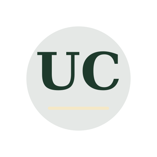 Ulzen Chimney Services logo